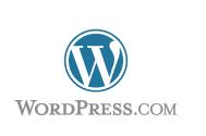 Mít weby přes WordPress, dobrá volba či nikoliv?